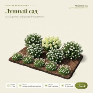 Композиция «Лунный сад»