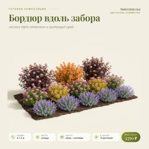 Композиция «Бордюр вдоль забора»
