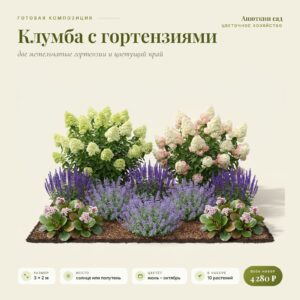 Композиция «Клумба с гортензиями»