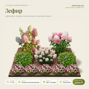 Композиция «Зефир»