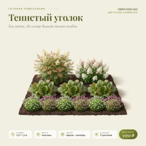 Композиция «Тенистый уголок»