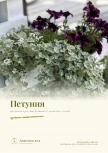 Пособия